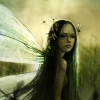 thumbs dragonfly Illustrations digitales