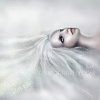 thumbs fleur de glace Illustrations digitales